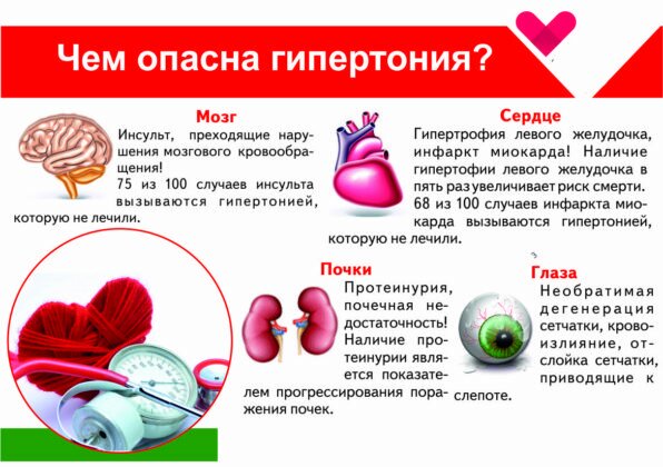 Как лечить увеличенную почку народными средствами Как лечить увеличенную почку народными средствами